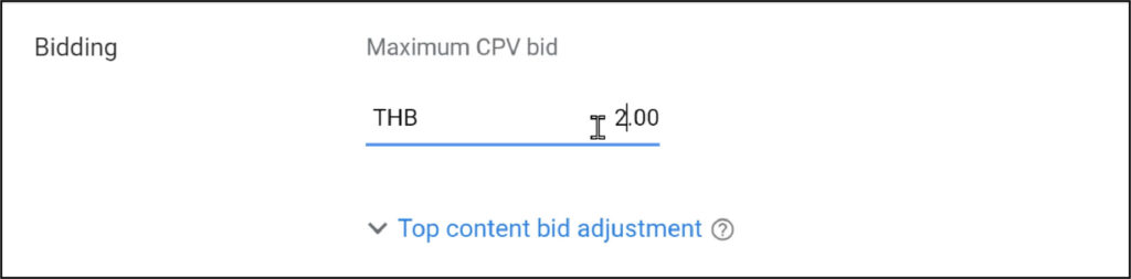 STARTUP NOW---YouTube Ads---bidding---maximum CPV bid